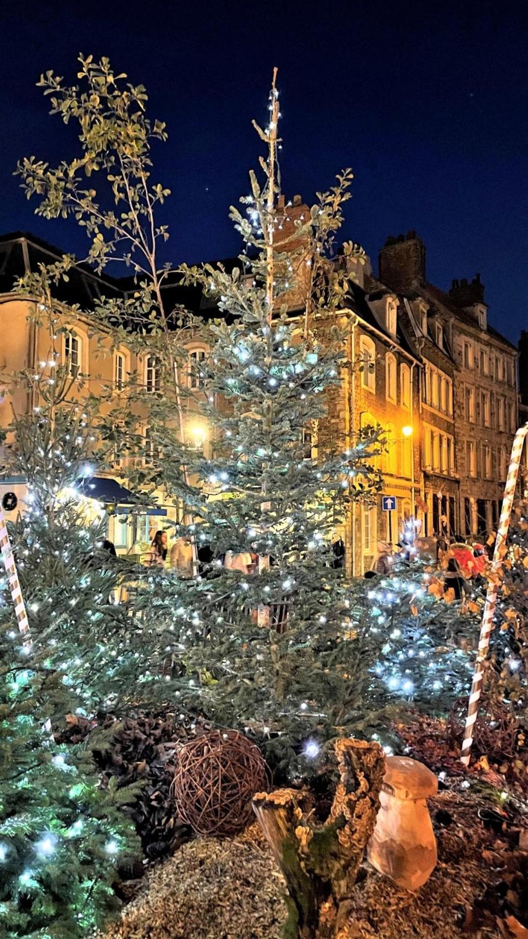 Cocon Lumineux Proche De La Ville Fortifiee Et De Nausicaa Булонь-сюр-Мер Екстер'єр фото